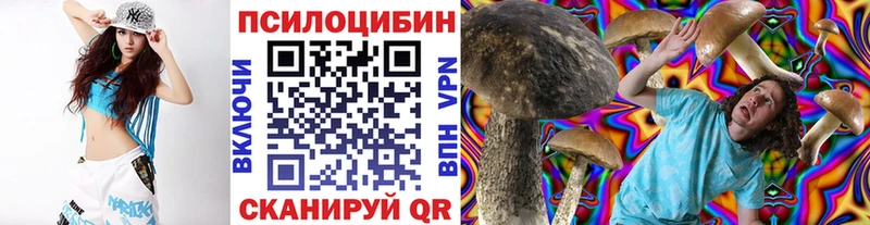 Купить где  Калуга  Псилоцибиновые грибы GOLDEN TEACHER